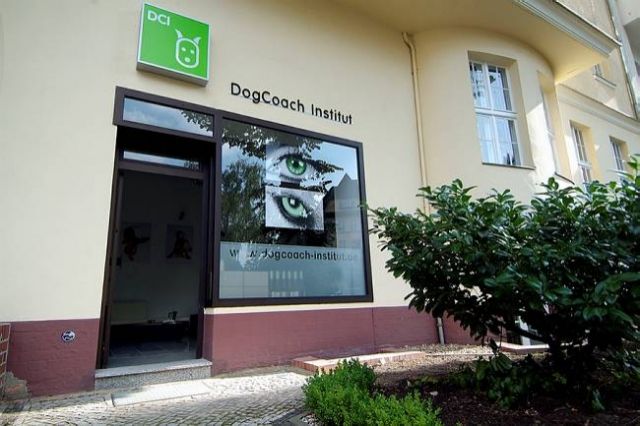 DogCoach Seminar- Hundekontakt -Begegnung der anderen Art- - Hundeschulen - Berlin