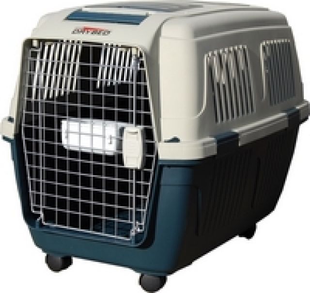 Suche Flugbox für Hunde ! - Hunde Zubehoer - Lindenberg bei Berlin