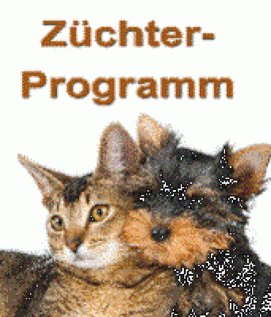 Hunde Züchter als Kooperationspartner gesucht - Wir bieten ihnen die Möglichke - Hunde Zubehoer - Buchholz