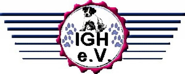 Hundeolympiade und Hundeausstellung - Hunde Zubehoer - Leinach