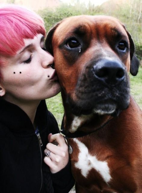 Ich, maja, 3 jahre suche ein neues zuhause - Mischlinge - Leipzig