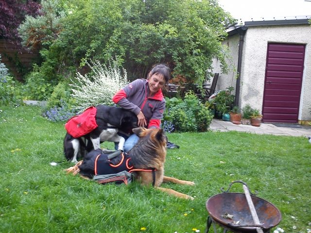 Patente HundeführerIn gesucht - Hundesitter - München - Pasing