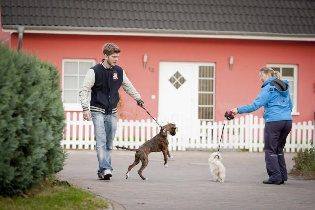 Hundetraining mit behördlicher Erlaubnis - Hundeschulen - Berlin