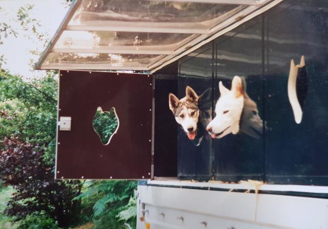 Hundeanhänger und -zwinger zu verkaufen - Rassehunde Husky - Cirey-sur-Vezouze