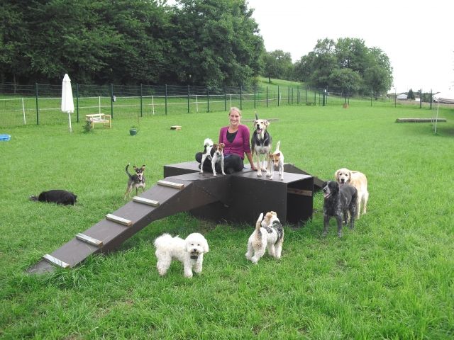 Hundebetreuung liebevoll, professionell - Hundesitter - Neidenstein