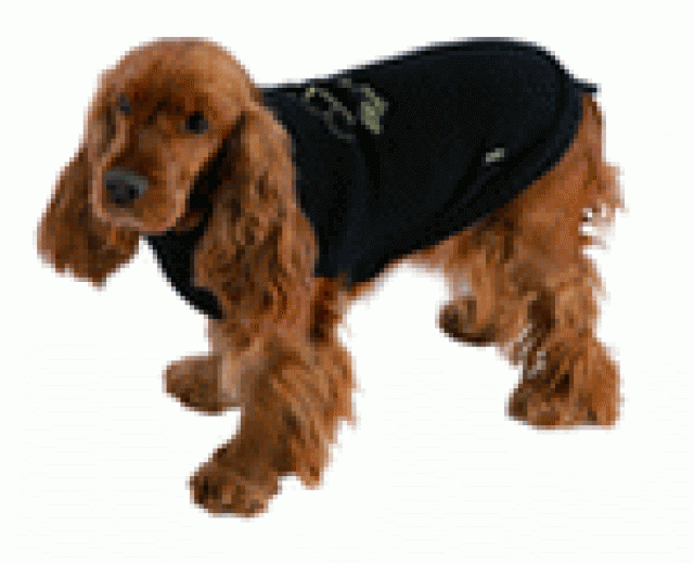 Haute Couture für den Hund von Heute - Hunde Zubehoer - Bamberg