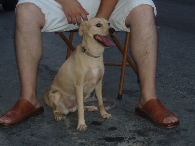 TINA       hat ihr sicheres zuhause verloren - Mischlinge - Hagen