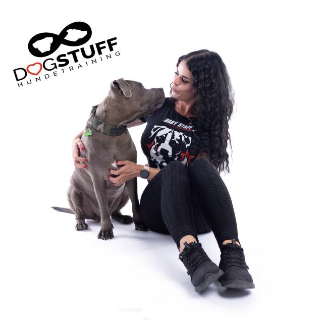 Professionelles Hundetraining  - Hundeschulen - Heiligensee 