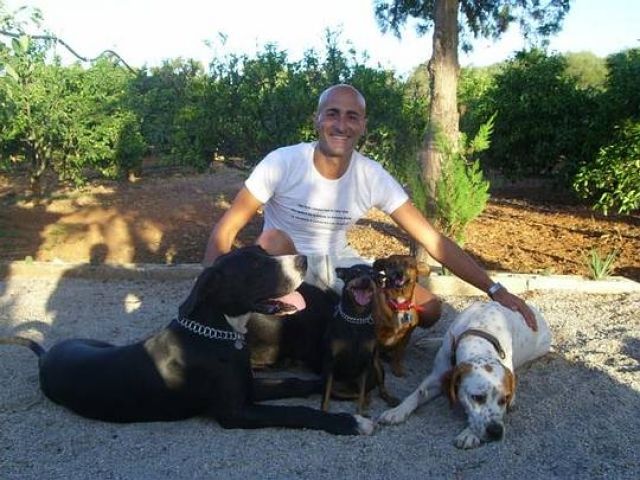 Der  Hundeflüsterer  aus Mallorca besucht Sie in Deutschland - Hunde Zubehoer - Palma de Mallorca