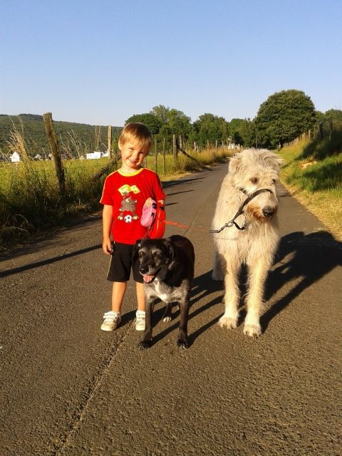 Familiäre Hundebetreuung - Hundesitter - Burbach