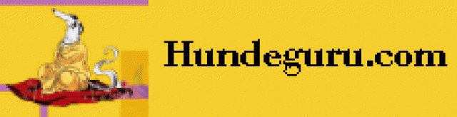 Weiterbildung für Hundetrainer bei Hundeguru A. Mienk - Hunde Zubehoer - Ludwigslust