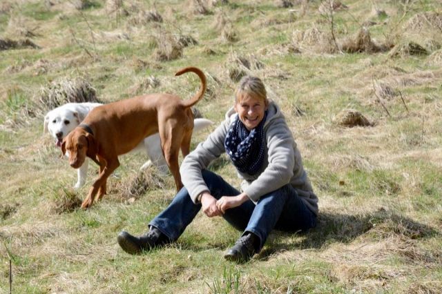 Hundetrainer Schnelsen - Hundeschulen - Hamburg