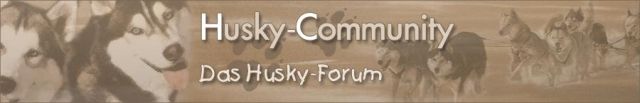 HUSKY COMMUNITY DAS HUSKYFORUM FÜR LIEBHABER - Rassehunde Husky - Berlin