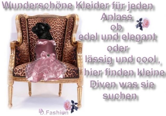 Diva s Dogfashion , trendige Hundebekleidung und Accessoires - Hunde Zubehoer - Barum