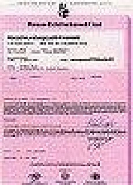 DeutscheSchäferhundwelpen reinrassig LZ  - Rassehunde Schaeferhund - Thierstein