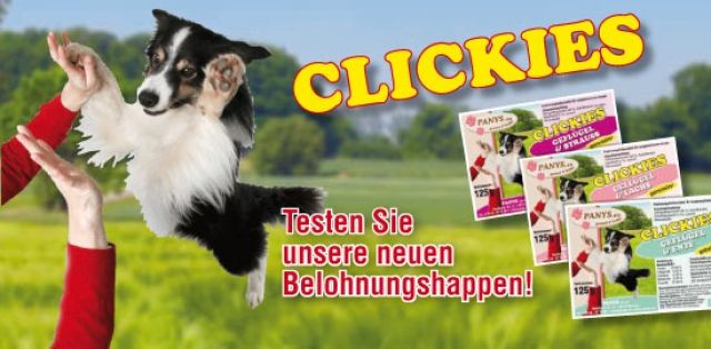 Clicker Hundeschule Clicker-Training - Hunde Zubehoer - Buchholz