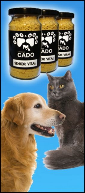 Neu! Gerade für ältere Hunde -   CADO Senior Vital - Mischlinge - Schutterwald