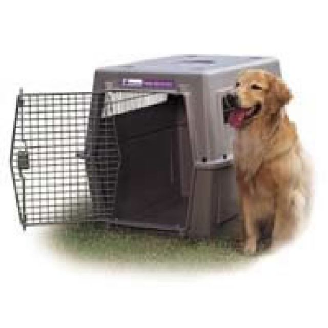 Vari Kennel Petmate Hunde-Flug-/Transportbox Verleih und Verkauf bis Größe xxx - Hunde Zubehoer - München