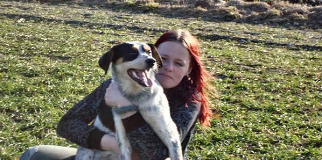 Die kunterbunte Hundehütte, Hundeschule - Hundesitter - Wettringen