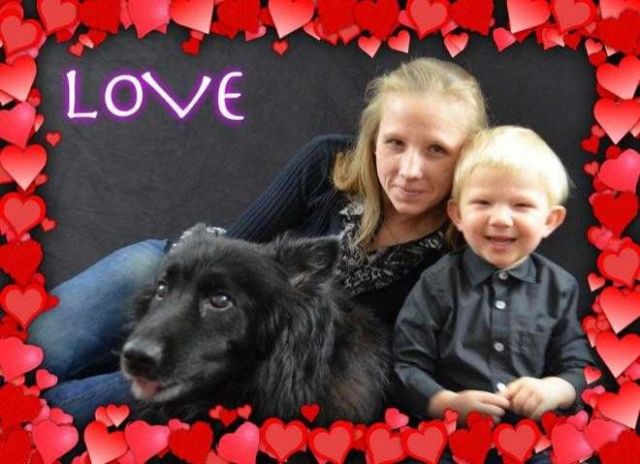 Lackschwarzer Altdeutscher Schäferhund Welpe Hündin gesucht - Rassehunde Schaeferhund - Mönchengladbach