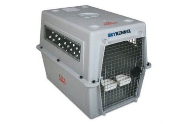 Hunde-Pet-Transportboxen-Verleih- www.hundebox-verleih.de - Hunde Zubehoer - Fröndenbewrg