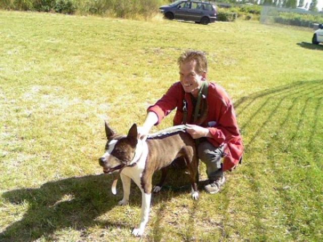 Hundebetreuung - Hundeerziehung - Hundesitter - Berlin