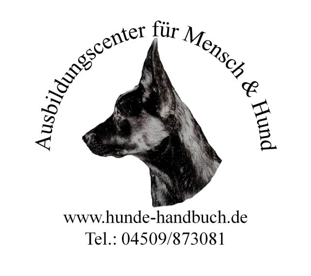 Problemhund? zertifizierter Problemhundetherapeut - Hundeschulen - Groß Grönau
