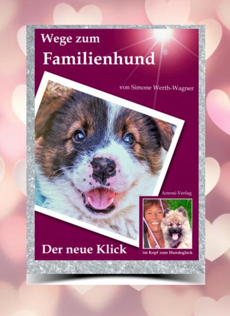Buchempfehlung: Welpe Hund Erziehung  - Hunde Zubehoer - Ansbach (Bayern)